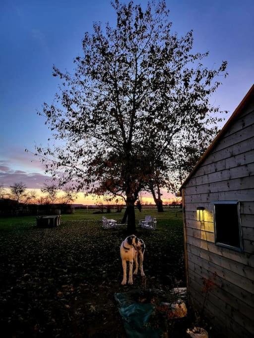 Gite Au Haras D'Agathe Et Ses Princes Les Barils Exterior foto