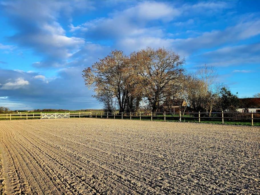 Gite Au Haras D'Agathe Et Ses Princes Les Barils Exterior foto