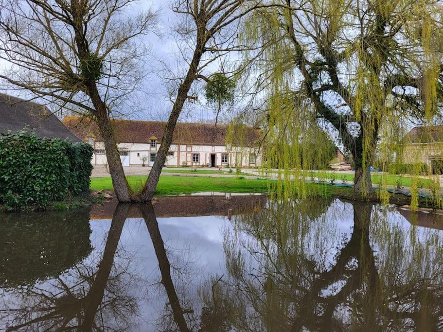 Gite Au Haras D'Agathe Et Ses Princes Les Barils Exterior foto